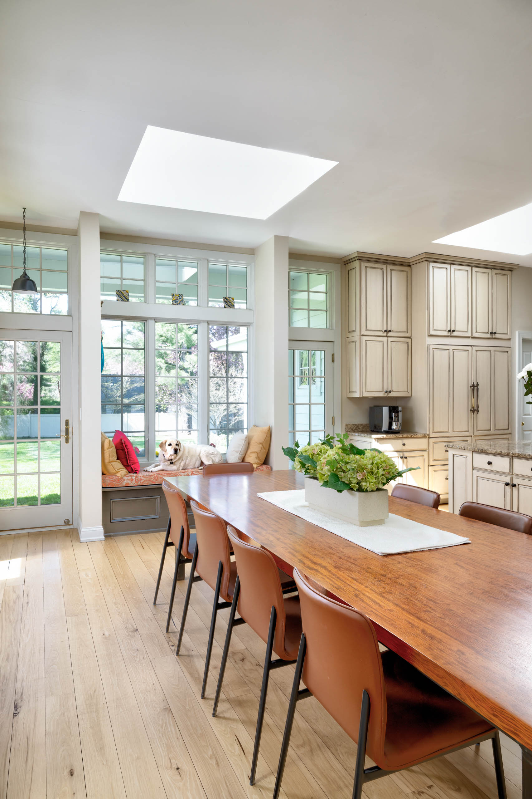farmhouse kitchen with dog